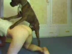 In the living room, a brown-haired harlot displays her amazing physique.